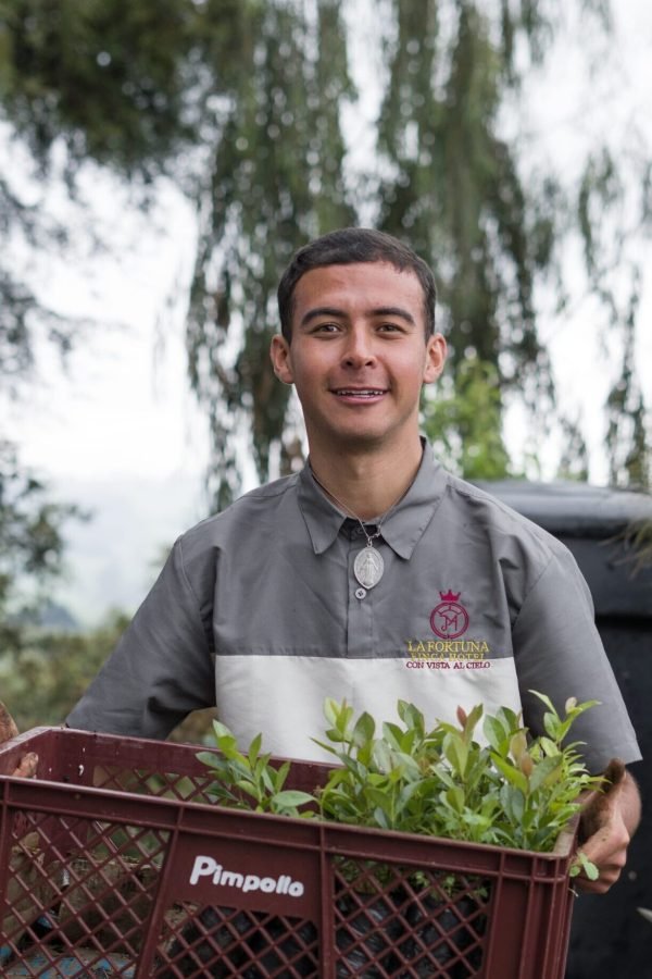 293a9d84-f6a4-497a-8cc3-d99a320b759b 2