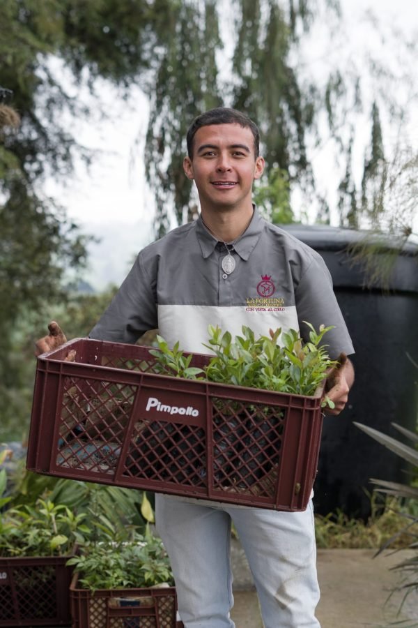 293a9d84-f6a4-497a-8cc3-d99a320b759b 2