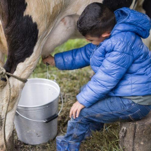 aac38186-6ffa-4271-aa0d-a455badaeecc 3